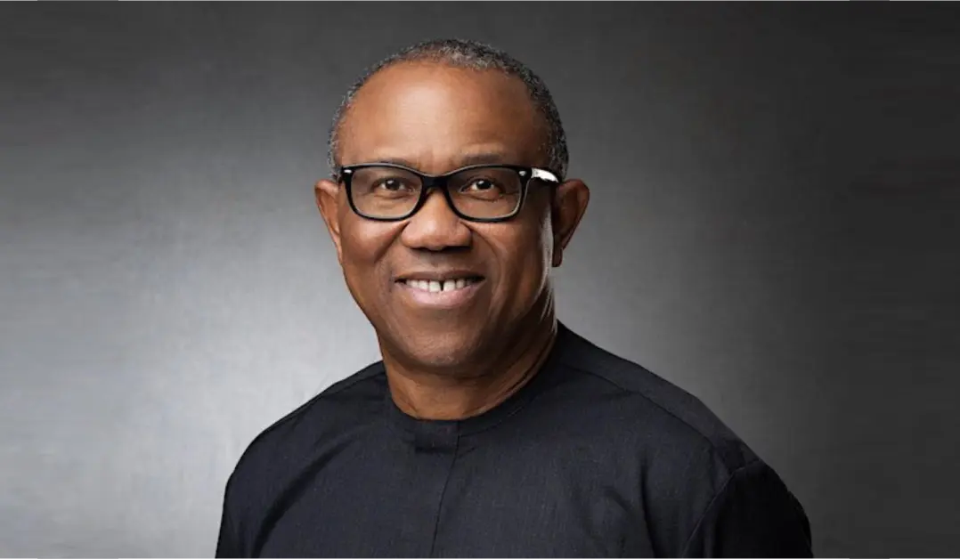 Peter Obi Net worth - Meltingpot.africa