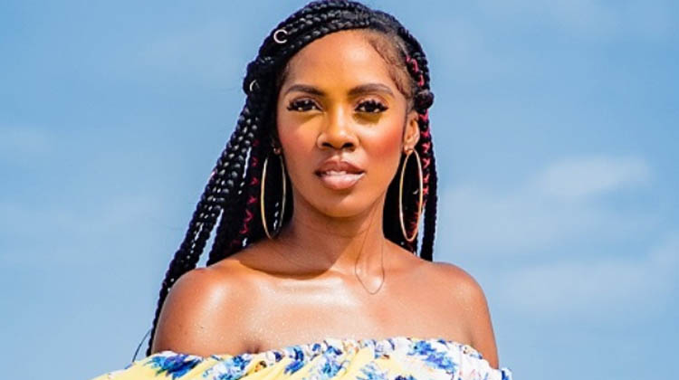 Tiwa Savage net worth | Meltingpot.africa