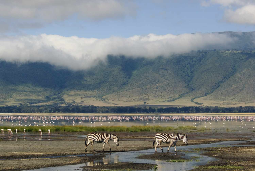 Ngorongoro conservation area