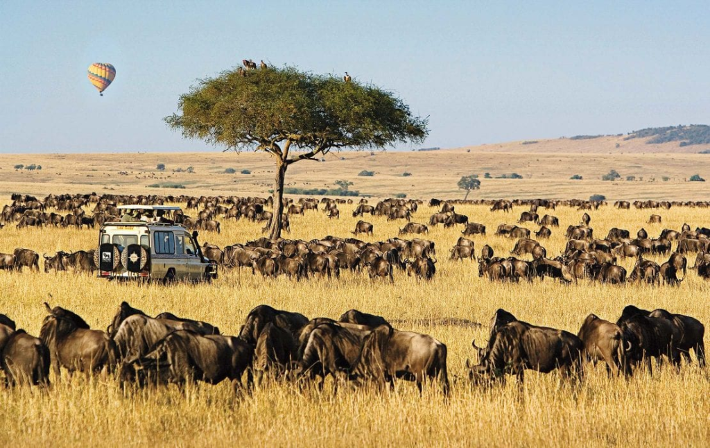 Masai Mara National Reserve