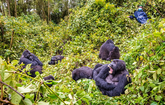 Virunga National Park