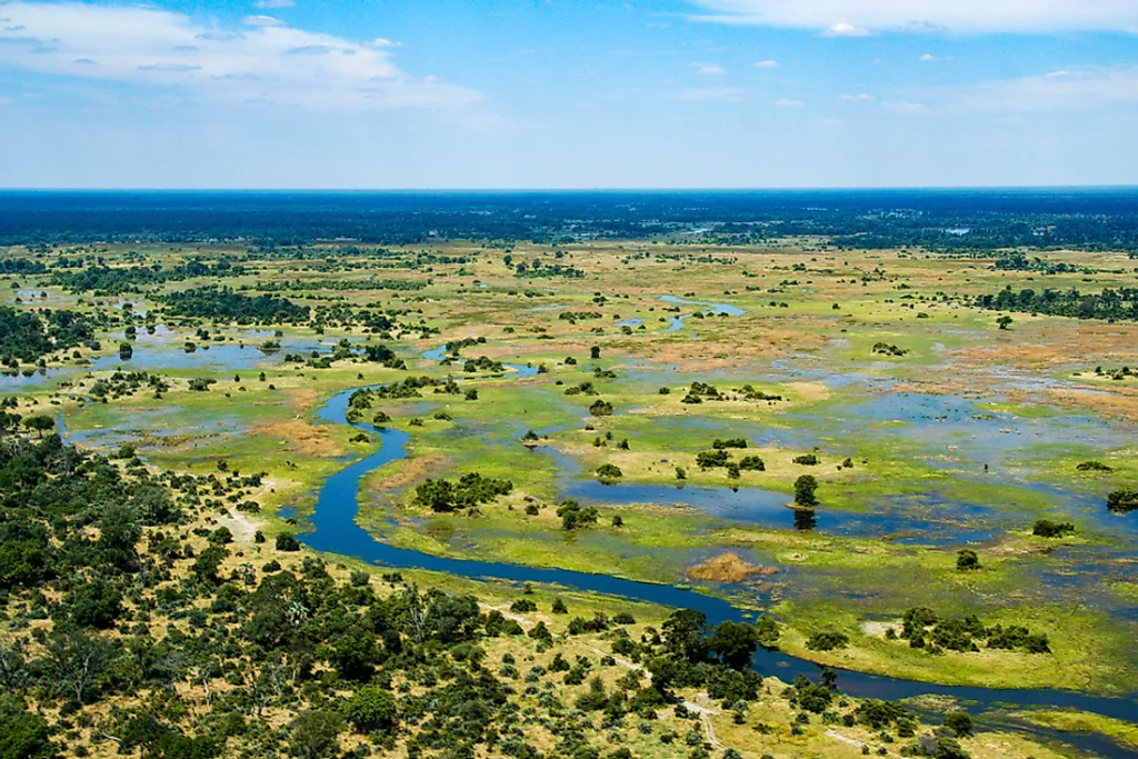 Okavango Delta 