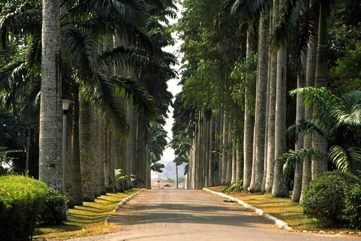 Aburi Botanical Gardens