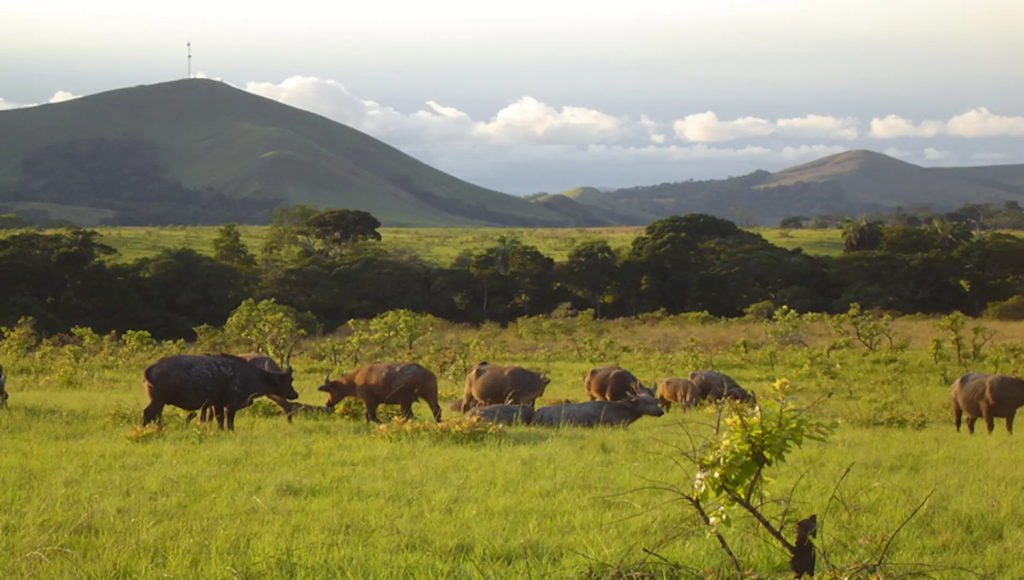 Lope National Park