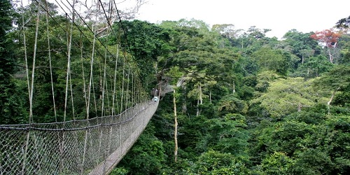 Okomu national park