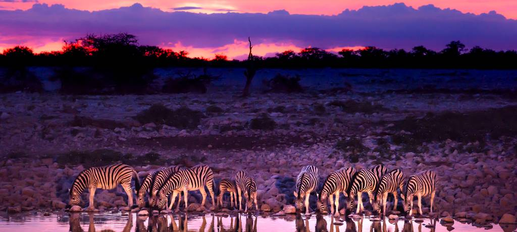 Etosha National Park