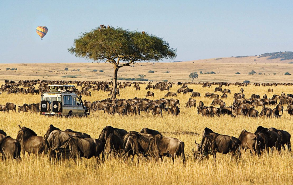 Masai Mara National Reserve, Kenya