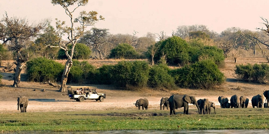 Chobe National Park & Moremi Game Reserve Botswana