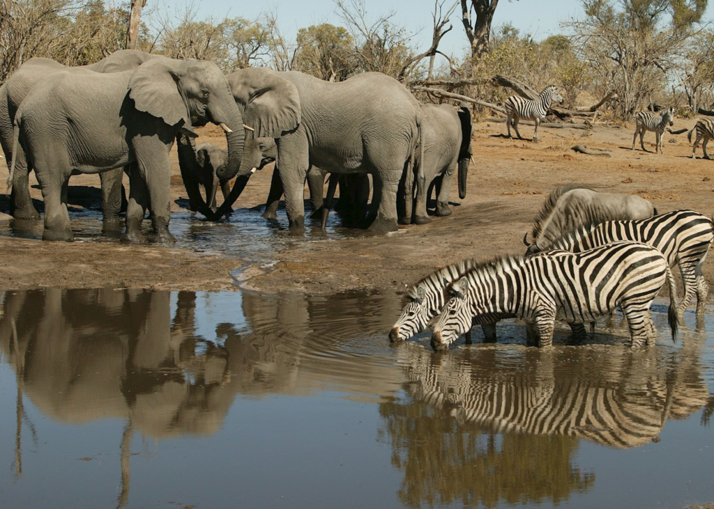 Linyanti Concession (Botswana)