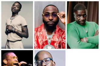 richest musicians in africa